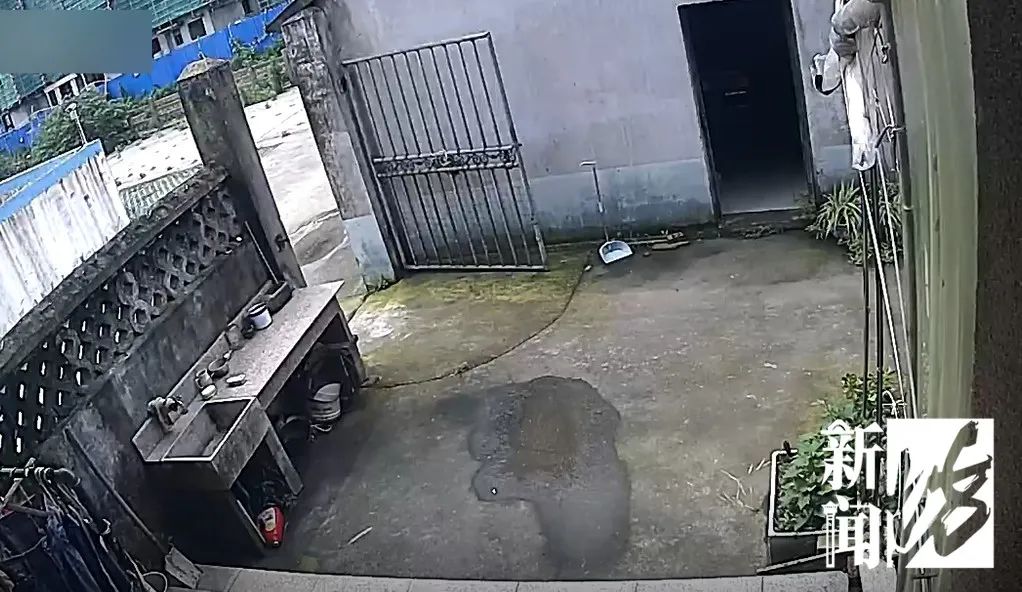 DƬ